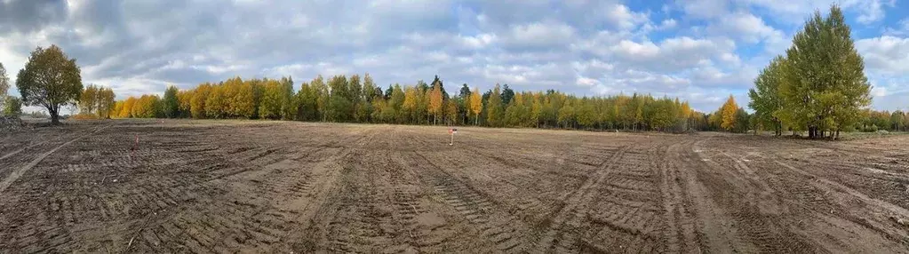 Участок в Ленинградская область, Приозерский район, Сосновское с/пос, ... - Фото 0