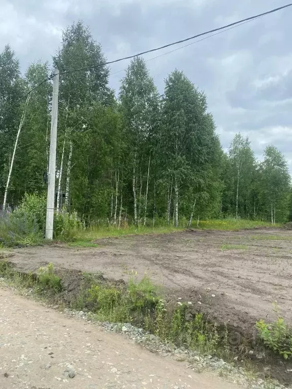 Участок в Новосибирская область, Новосибирский район, Кубовинский ... - Фото 0