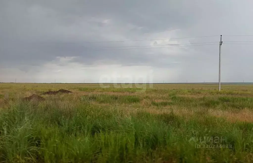 Участок в Крым, Ленинский район, с. Батальное ул. Степная (100.17 ... - Фото 0