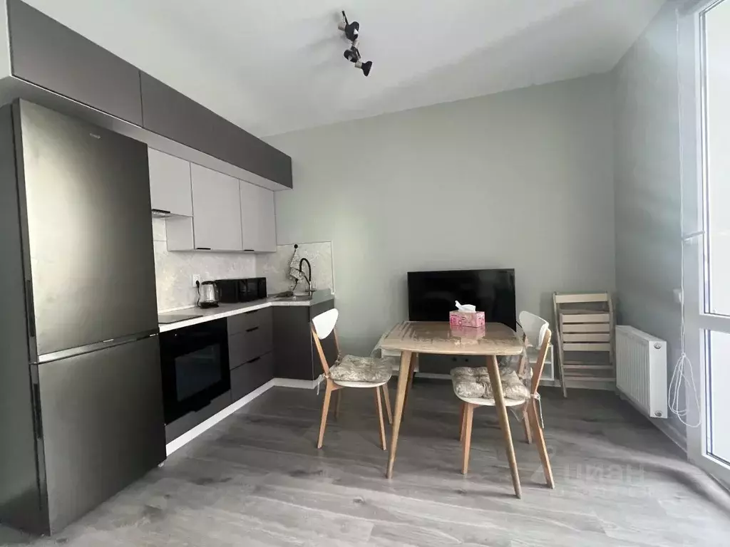 Студия Санкт-Петербург пос. Парголово, дор. Михайловская, 6 (29.5 м) - Фото 2