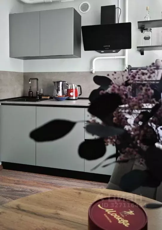 1-к кв. Московская область, Ивантеевка Пушкинский городской округ, ... - Фото 2