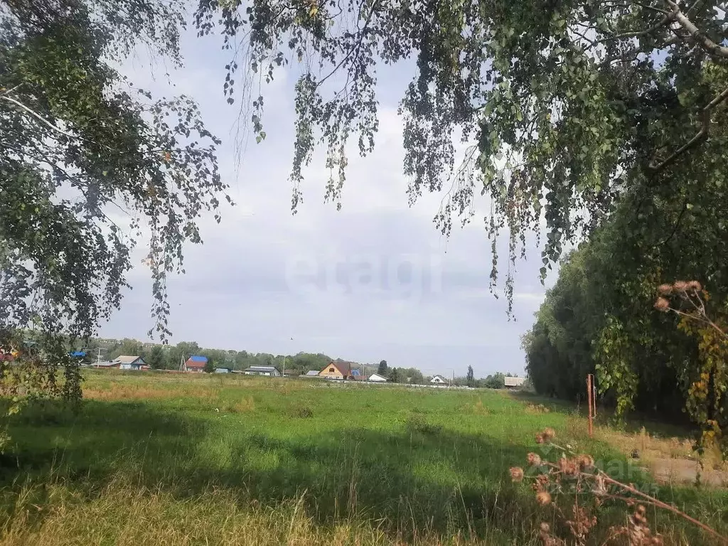 Участок в Алтайский край, Алтайский район, с. Алтайское ул. Зеленый ... - Фото 1