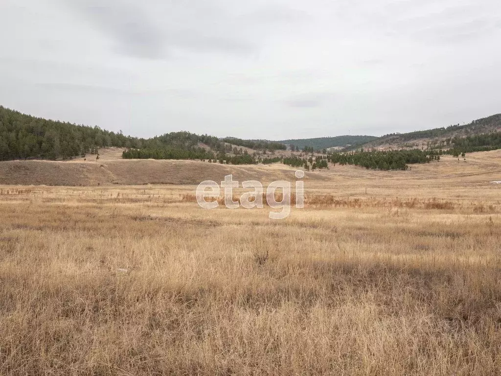 Участок в Бурятия, Иволгинский район, Иволгинское с/пос, Ошор-Булаг ... - Фото 1