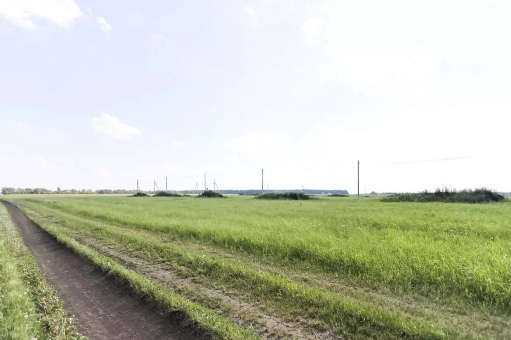 Участок в Тюменская область, Тюмень Садовая ул. (5.9 сот.) - Фото 0