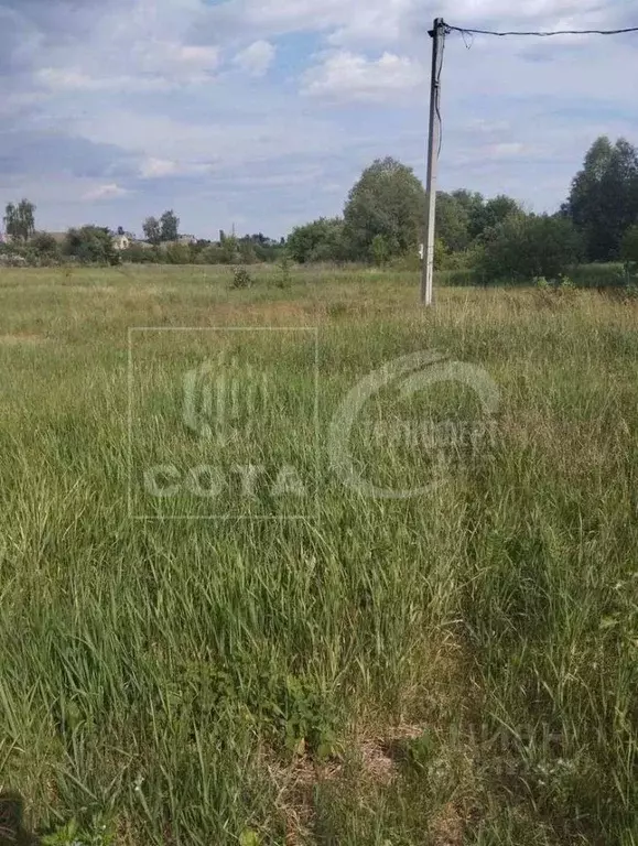 Участок в Воронежская область, с. Новая Усмань ул. Песоцкая (10.0 ... - Фото 1