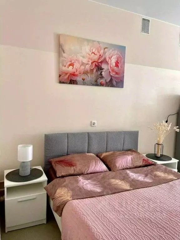 1-к кв. Костромская область, Кострома ул. Нижняя Дебря, 32Б (21.0 м) - Фото 1