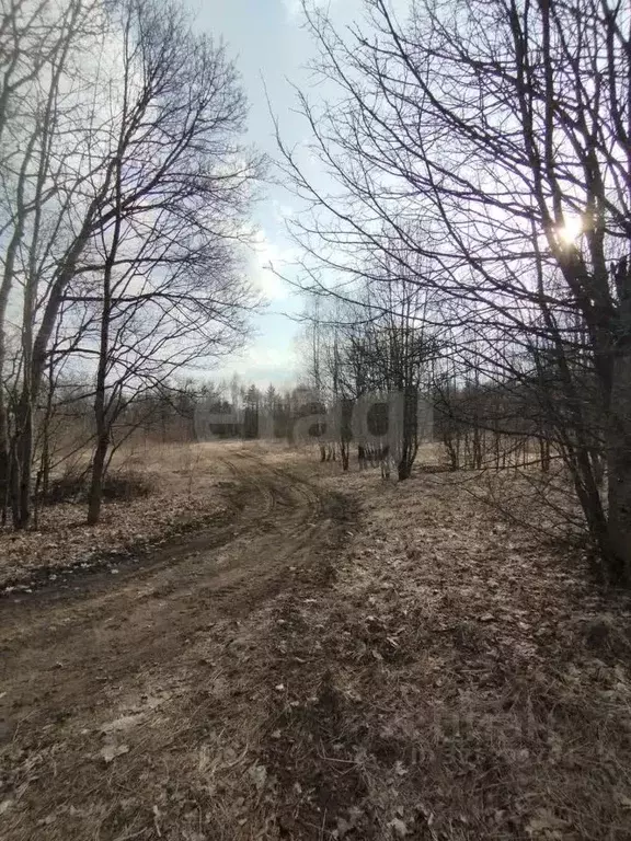 Участок в Калужская область, Малоярославецкий муниципальный округ, ... - Фото 2