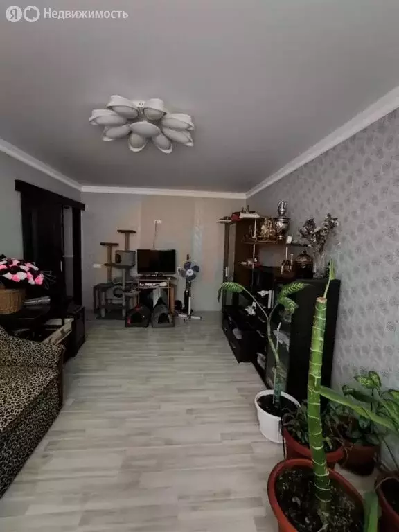 3-комнатная квартира: Саки, Курортная улица, 23 (65.4 м) - Фото 2