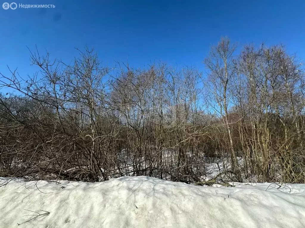 Участок в Ярославский муниципальный округ, деревня Бузаркино (22 м) - Фото 1