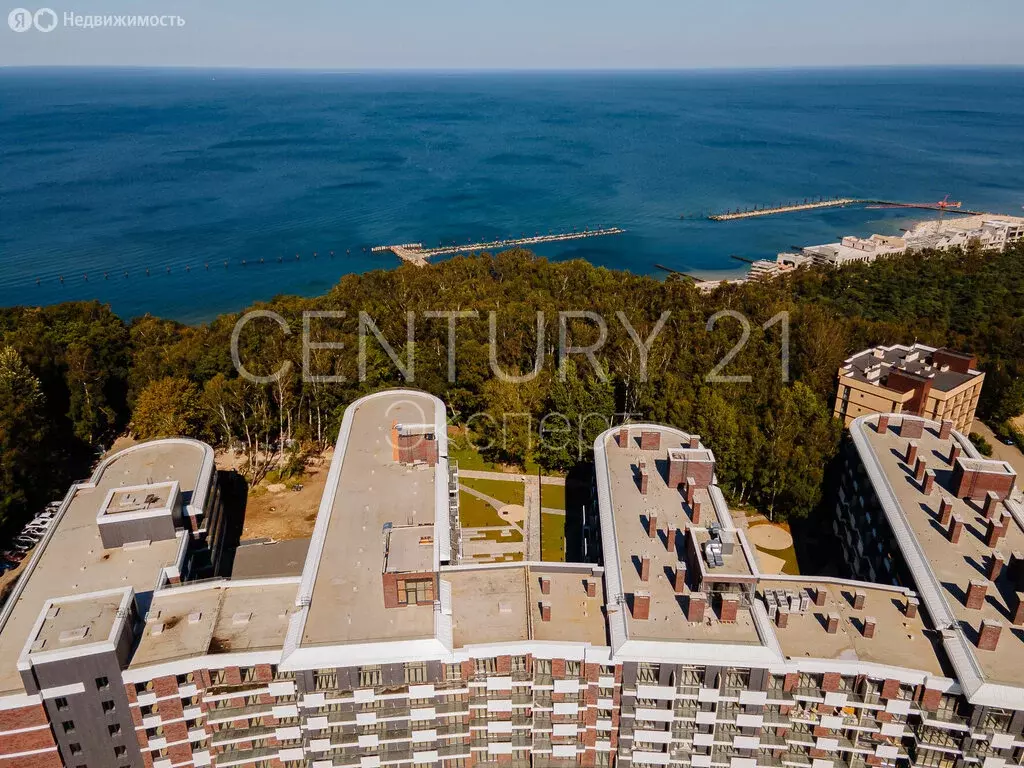 1-комнатная квартира: Светлогорск, улица Верещагина, 10 (66 м) - Фото 1