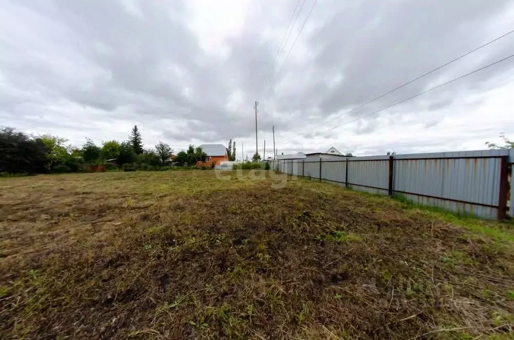 Участок в Курганская область, Шадринский муниципальный округ, с. ... - Фото 1