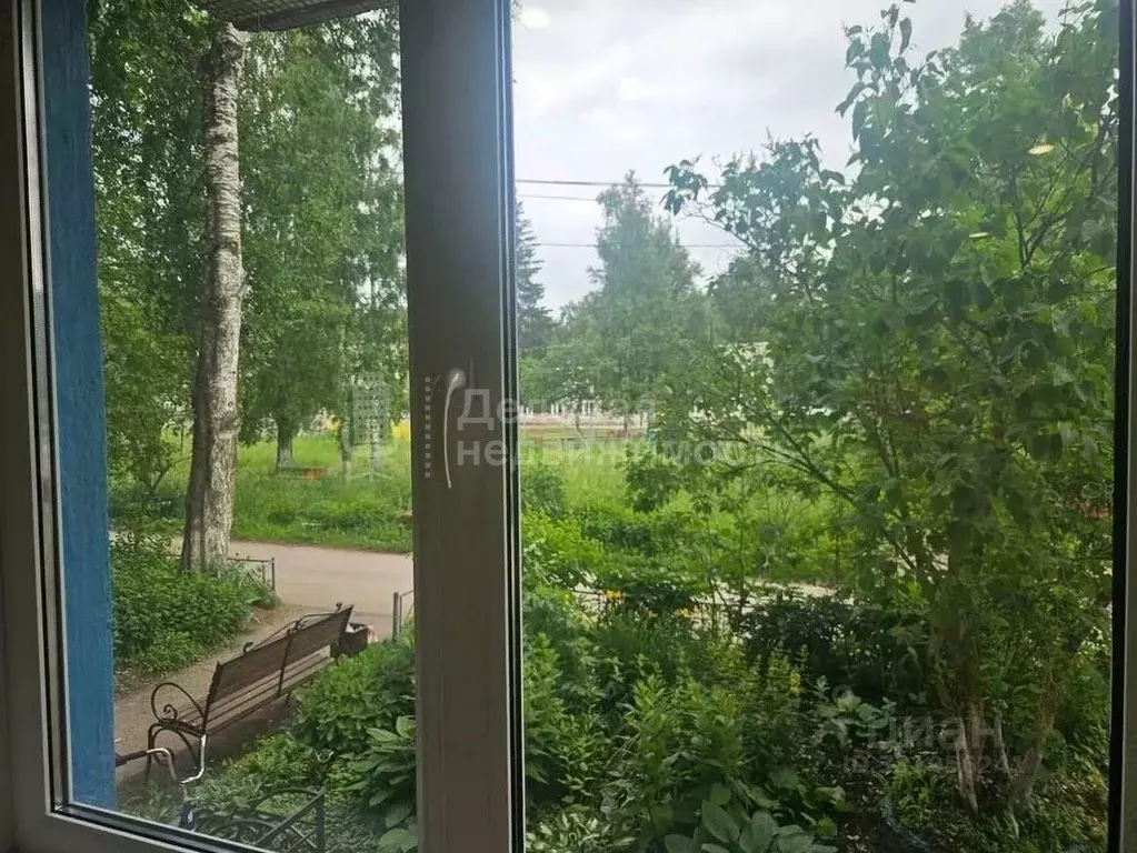 2-к кв. Новгородская область, Новгородский район, Борковское с/пос, д. ... - Фото 2