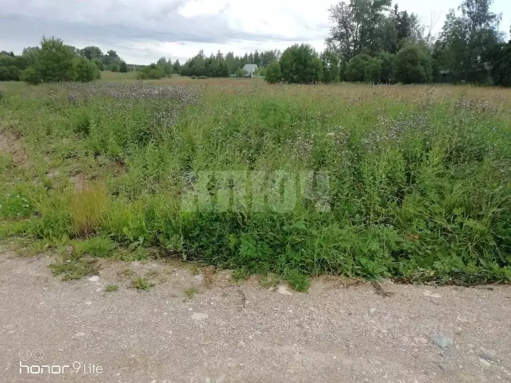 Участок в Вологодская область, Сокольский муниципальный округ, д. ... - Фото 1