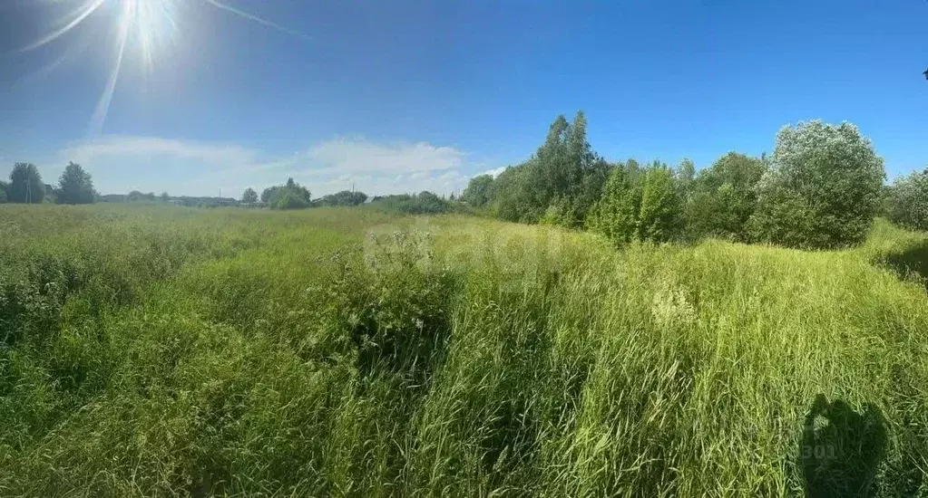 Участок в Вологодская область, д. Шульгино  (9.8 сот.) - Фото 2