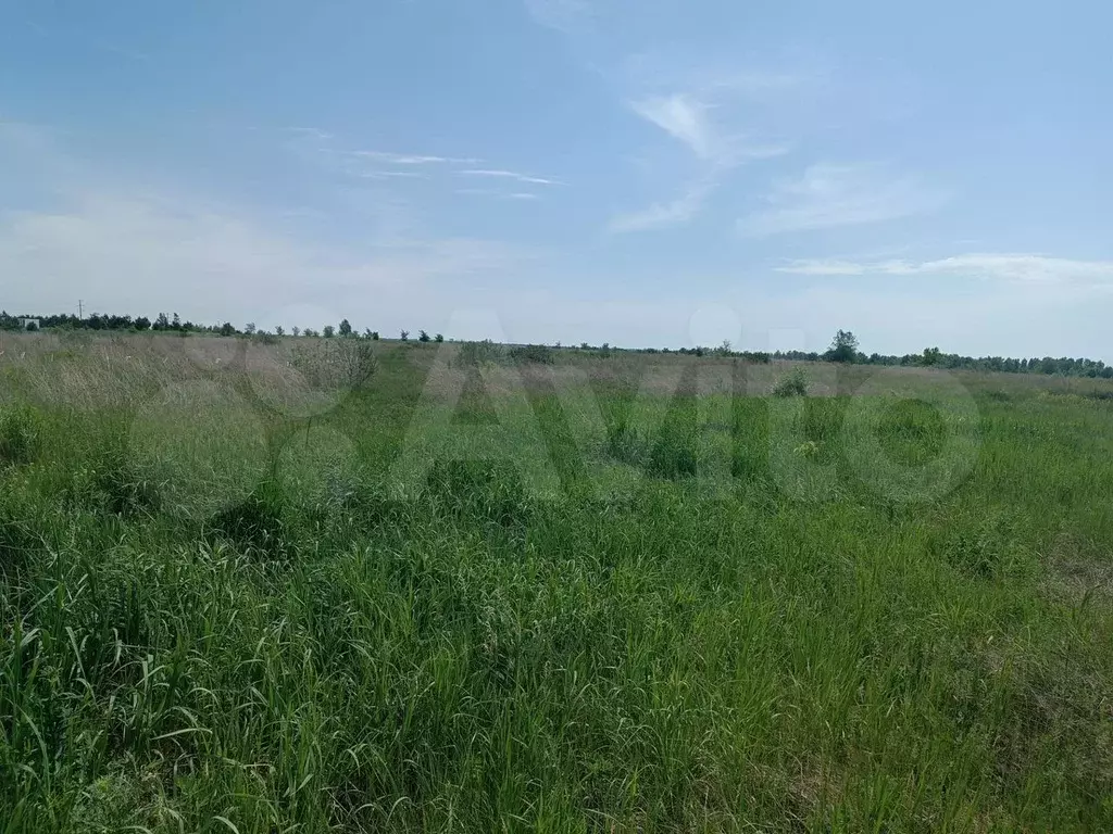 Участок 7,2 сот. (ИЖС) - Фото 1