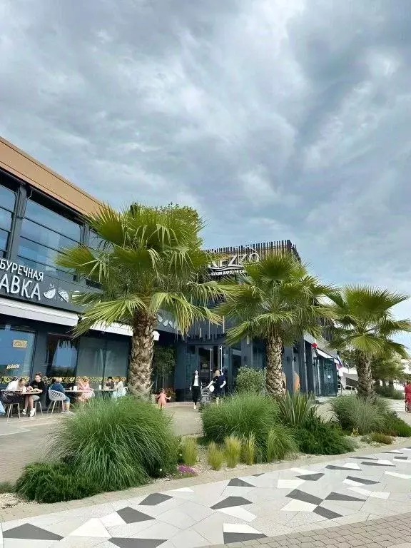 1-к кв. Краснодарский край, Сочи Центральный мкр, пер. Ривьерский, 5 ... - Фото 1