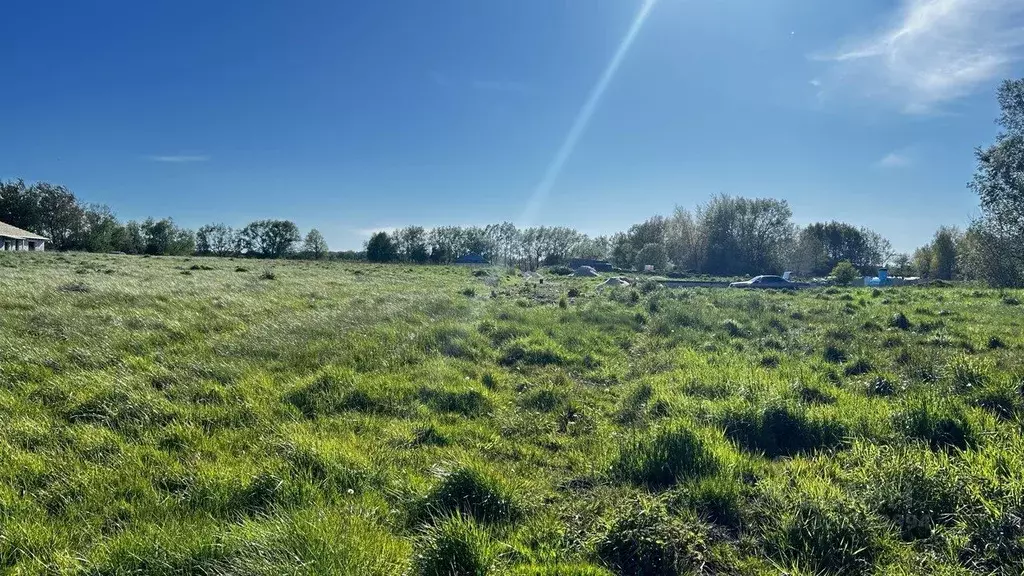 Участок в Калининградская область, Гурьевский муниципальный округ, ... - Фото 1