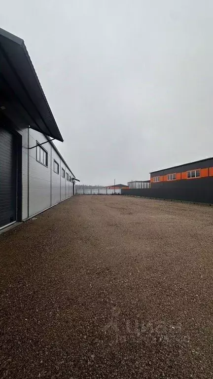 Производственное помещение в Ленинградская область, Ломоносовский ... - Фото 1