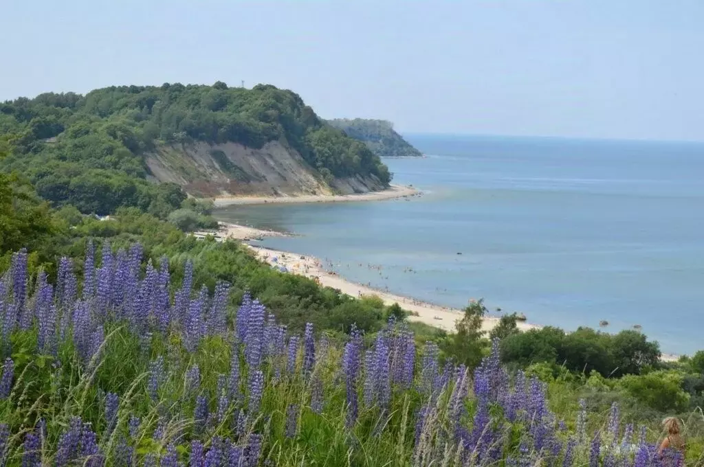 Участок в Калининградская область, Светлогорск  (6.0 сот.) - Фото 0