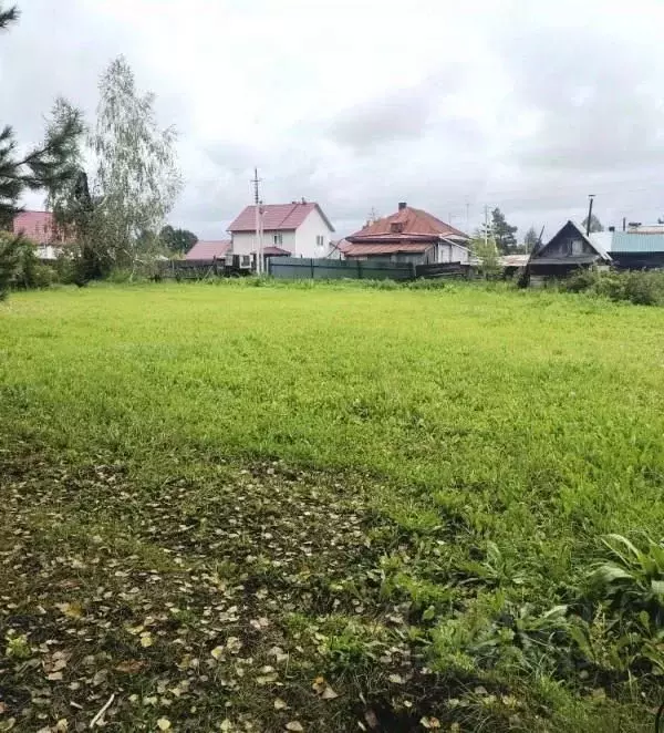 Участок в Новосибирская область, Новосибирский район, Станционный ... - Фото 1