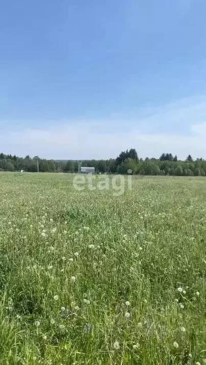 участок в пермский край, краснокамский городской округ, пос. ласьва . - Фото 1