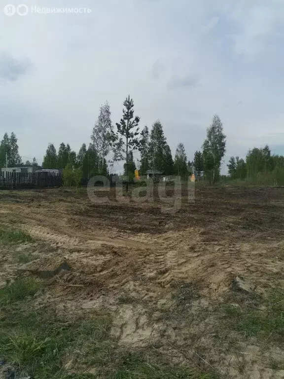 Участок в Тюменский муниципальный округ, Садоводческое товарищество ... - Фото 2