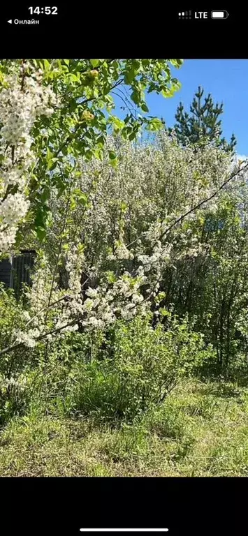 Участок 8,6 сот. (СНТ, ДНП) - Фото 0