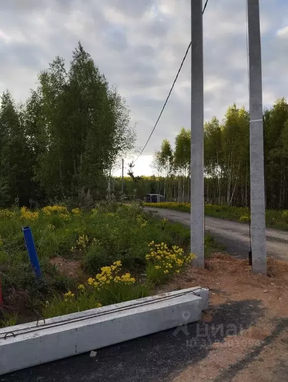 Участок в Московская область, Домодедово городской округ, с. Успенское ... - Фото 1