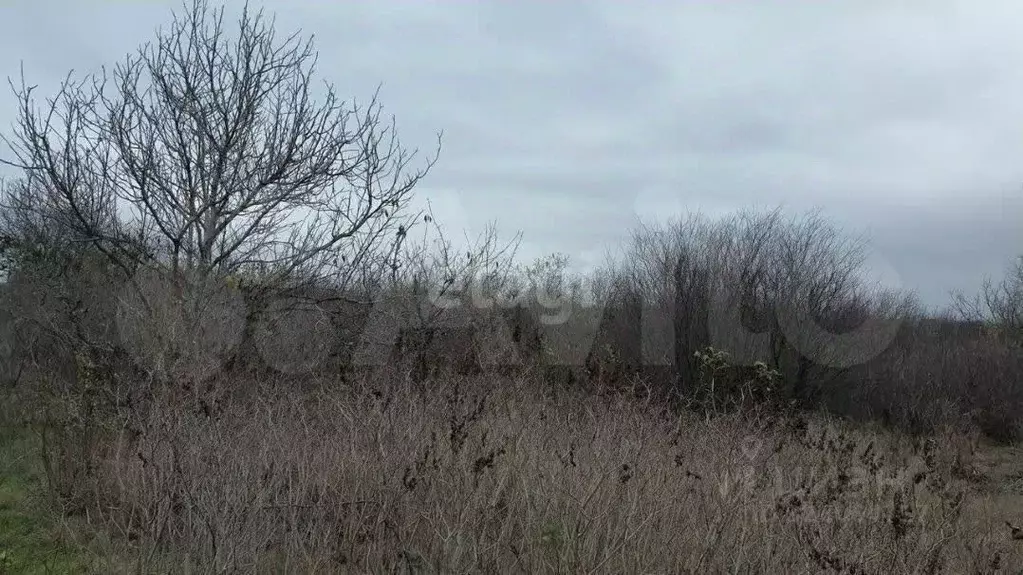 Участок в Ростовская область, Азов Азовский район, пер. 27-й Линейный ... - Фото 1