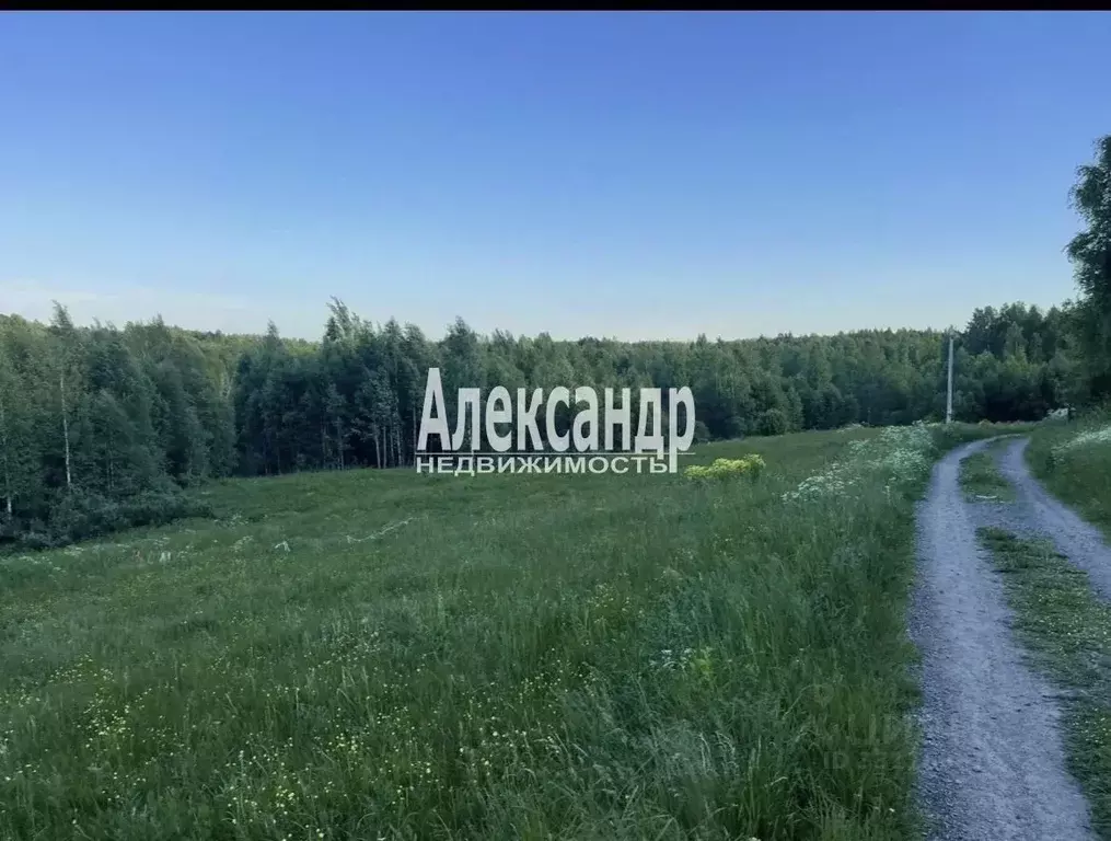 Участок в Ленинградская область, Всеволожский район, Куйвозовское ... - Фото 2
