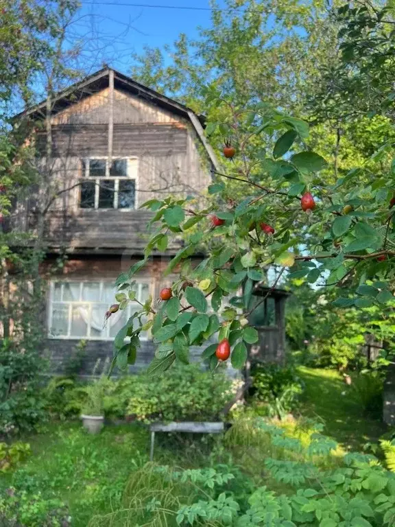 Дом в Тюменская область, Тюмень Бирюсинка СНТ, ул. Цветочная (39 м) - Фото 1