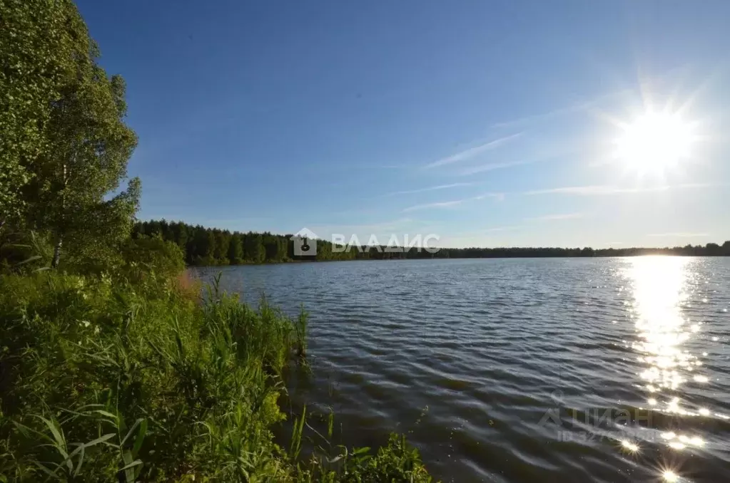 Участок в Московская область, Клин городской округ, д. Подорки ул. ... - Фото 1