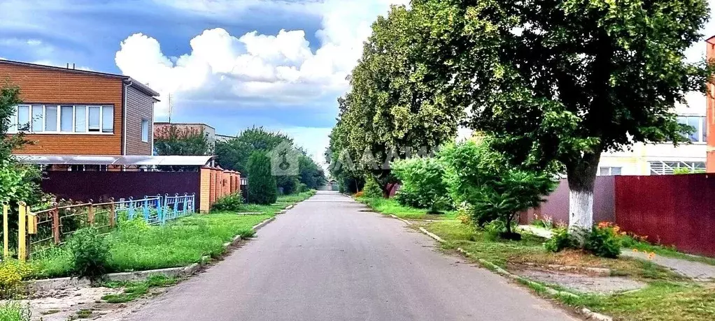 Участок в Воронежская область, Хохольский район, с. Новогремяченское ... - Фото 1
