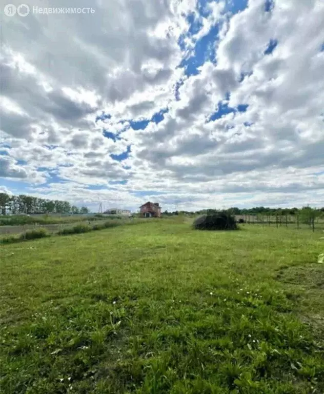 Участок в округ Муром, деревня Берёзовка, Плодовая улица (20 м) - Фото 2