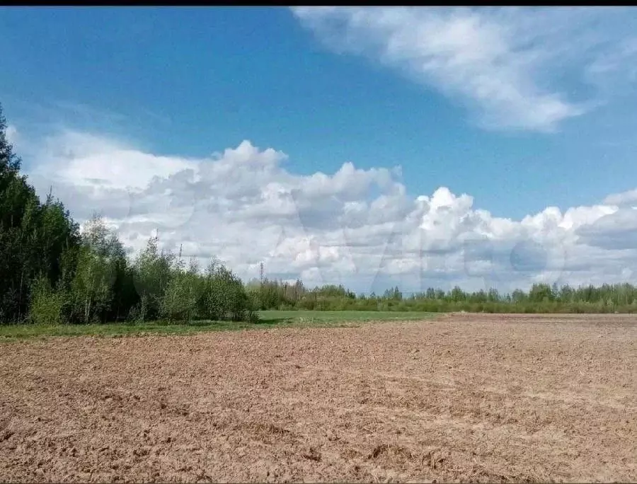 Участок в Вологодская область, д. Бекетово  (15.0 сот.) - Фото 0