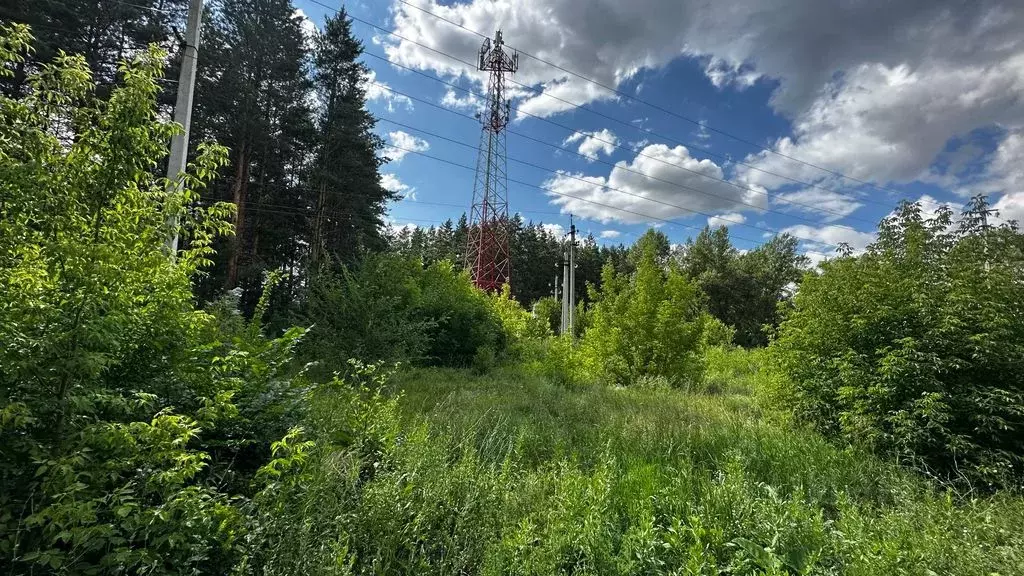 Участок в Оренбургская область, Оренбургский район, с. Нежинка ул. ... - Фото 0