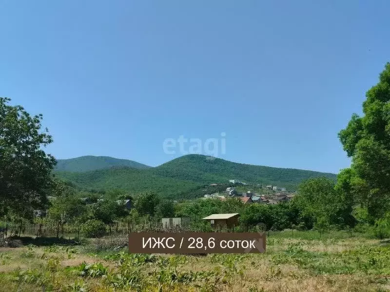 Участок в Краснодарский край, Анапа муниципальный округ, с. Сукко  ... - Фото 1