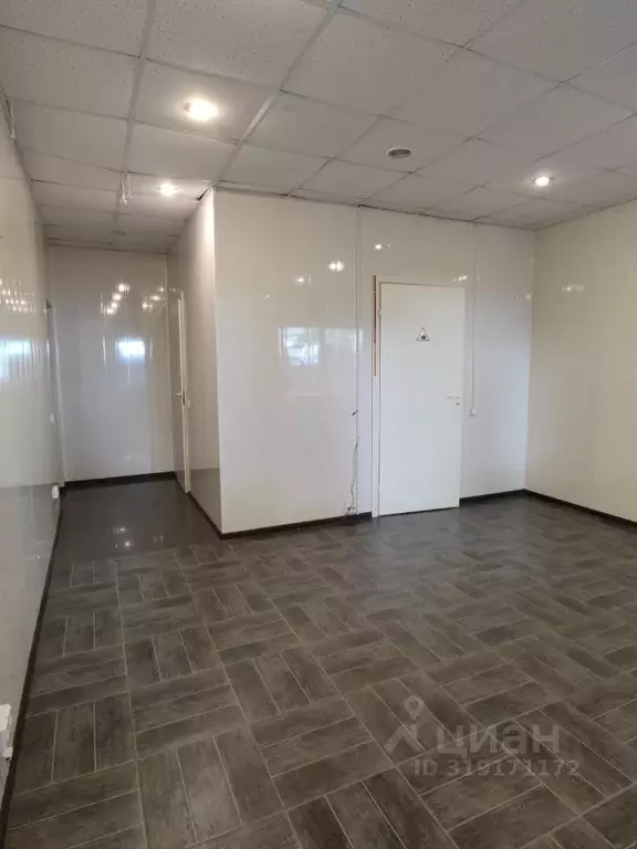 Офис в Санкт-Петербург ул. Коли Томчака, 24 (52 м) - Фото 1