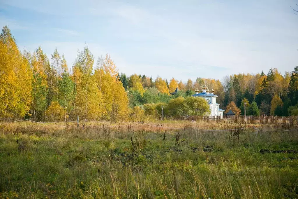 Участок в Ленинградская область, Всеволожский район, Колтушское ... - Фото 1