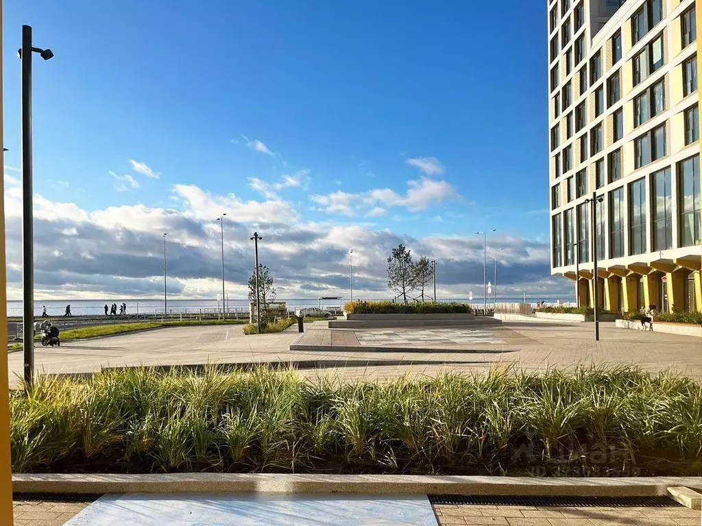 1-к кв. Санкт-Петербург ул. Челюскина, 10 (45.0 м) - Фото 2