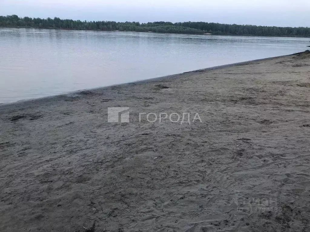 Участок в Новосибирская область, Колыванский район, Импульс СНТ  (6.5 ... - Фото 0