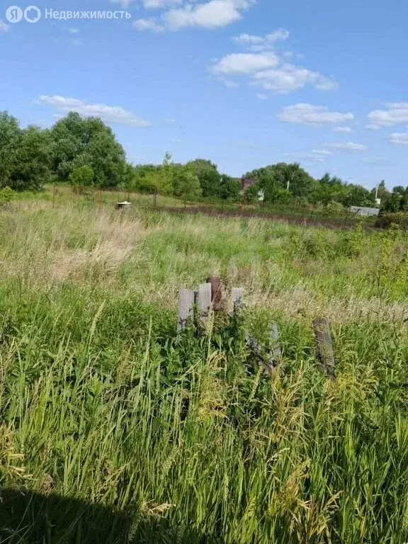 Участок в Воронежская область, село Новая Усмань (7.37 м) - Фото 2