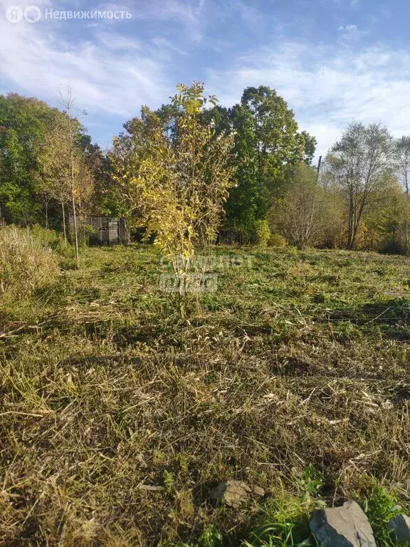 Участок в Надеждинский район, село Вольно-Надеждинское (6 м) - Фото 1