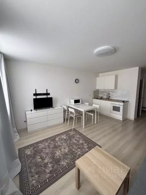 Студия Свердловская область, Екатеринбург ул. Чемпионов, 1 (29.0 м) - Фото 2