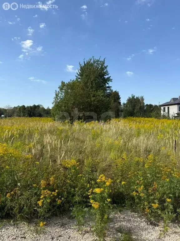 Участок в Тульская область, городской округ Тула, деревня Прудное (15 ... - Фото 0
