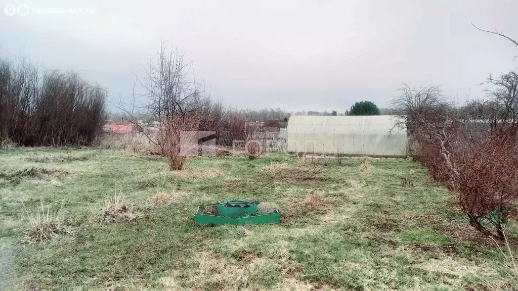 Участок в Томск, садовое товарищество Мичуринец, 3-я улица (6 м) - Фото 1