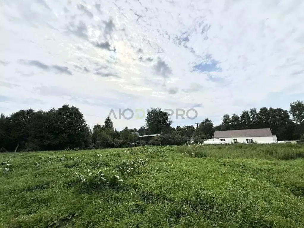 Дом в Кировская область, Киров городской округ, с. Бахта ул. Лесная, 3 ... - Фото 2
