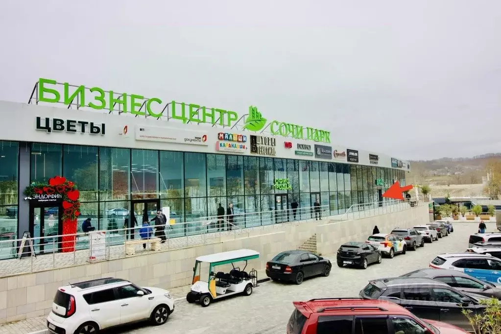 Помещение свободного назначения в Краснодарский край, Сочи Бытха мкр, ... - Фото 2