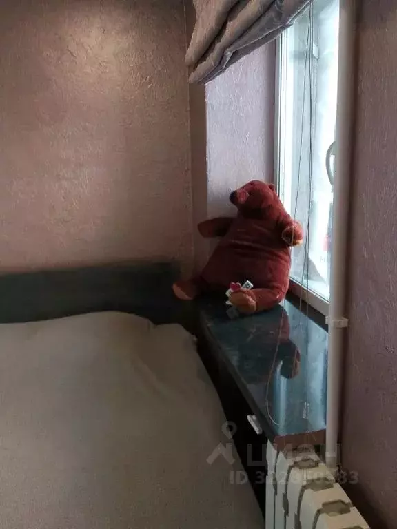 Комната Камчатский край, Петропавловск-Камчатский просп. 50 лет ... - Фото 2