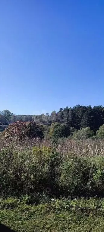 Участок в Калужская область, Дзержинский муниципальный округ, Дворцы ... - Фото 2